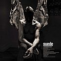 Suede - Antidepressants Suede - Antidepressants