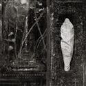 Wolves In The Throne Room - Estuary